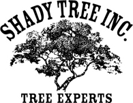 Shady Tree Inc. Tree Experts logo